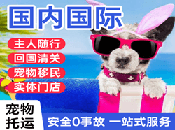 长乐机场空运国际宠物托运 【国